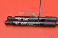damper SILOWNIKI bonnets 81161-M5000 HYUNDAI NEXO 18