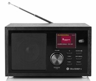 Sieťové rádio DAB+, FM GoGEN 620 Black