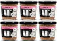 CATS PLATE RABBIT - Królik 100g x6