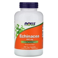 NOW FOODS Echinacea - Echinacea purpurová (250 kaps.)