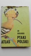 Ptaki Polski Jan Sokołowski