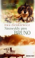 Niezwykły pies Bruno