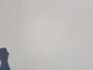 bonnet MERCEDES W204 C650 650