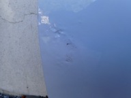 door left front left front SKODA FABIA 4 IV 6VA PJ3 2021- 6VA831051