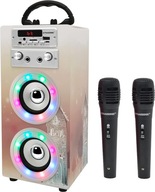 Głośnik Bluetooth Zestaw do karaoke Dynasonic E-025 5 W DWA MIKROFONY PRZEW