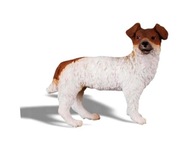 PIES JACK RUSSELL TERIER