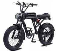 AKEZ Elektrický bicykel Dvojitá mechanická kotúčová brzda 750W 48V 13AH