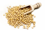 SZÓJABAB 1 KG GMO NÉLKÜL