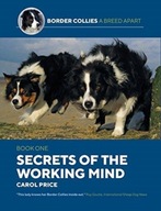 Secrets Of The Working Mind CAROL PRICE