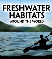 Freshwater Habitats Around the World Christensen