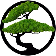 Obraz z machu strom bonsai stromček ako darček prírodný mach chrobák 30cm