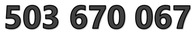 503 670 067 ORANGE STARTER ZŁOTY ŁATWY PROSTY NUMER KARTA SIM GSM PREPAID
