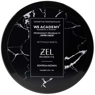 Gél na vlasy WS Academy 250 ml