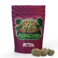 SUSZ KONOPNY CBD CRITICAL 40% 20g CALIFORNIA CBD |ŚWIEŻE ZBIORY