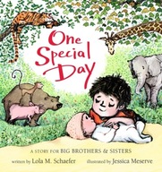 One Special Day: A Story for Big Brothers and
