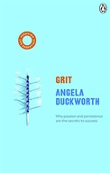 Grit: (Vermilion Life Essentials) Duckworth