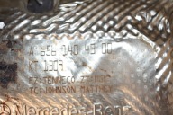 IDEALNY catalyst DPF MERCEDES W167 1