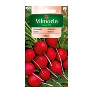 Krasa nasiona 10 g rzodkiewka VILMORIN wysoka jakość