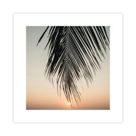 Plagát západ slnka - palmový list 20x20 cm Plagát do obývačky, plagát bez rámov