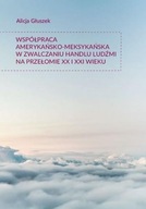 WSPÓŁPRACA AMERYKAŃSKO-MEKSYKAŃSKA W ZWALCZANIU...