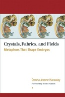 Crystals, Fabrics, and Fields: Metaphors That