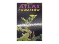 Podręczny Atlas Chwastów - G Skrzypczak