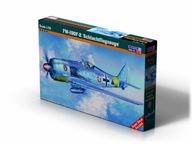 FW-190 F-2 Sschlachtfkugzeuge, C-11, 1:72