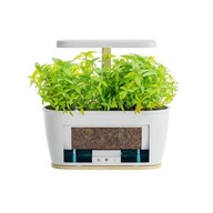 Extralink Smart Garden | Inteligentna doniczka | Wi-Fi, Bluetooth