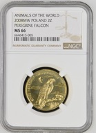 2 Złote Polska 2008 NGC MS 66 Sokół