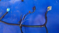 bundle motor wiring 1.6DCI RENAULT TRAFIC III VIVARO TALENTO 14-25R