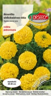 Nasiona Aksamitka wielkokwiatowa niska żółta 0,5g - Torseed