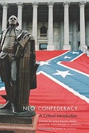 Neo-Confederacy: A Critical Introduction group