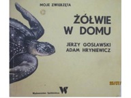 Żółwie w domu - Hryniewicz