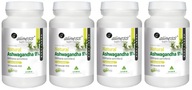 Aliness Natural Ashwaganda 590 mg 9% 4x100kaps. Úzkosť Vytrvalosť