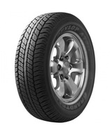 Dunlop Grandtrek AT20 265/65R17 112 S priľnavosť na snehu (3PMSF)