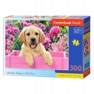 Puzzle Labrador v ružovej krabičke 300 dielikov.