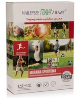 TRAWA Z IŁAWY MIESZANKA TRAW MURAWA SPORTOWA 1 KG