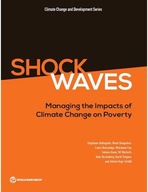 Shock waves: managing the impacts of climate