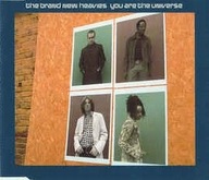 The Brand New Heavies – You Are The Universe [CD]