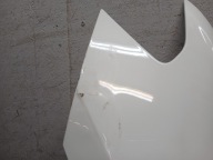 fender front left VW TIGUAN II 2 5NA 15-19