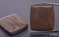 Fosílne drevo nízky kabošon cushion 28x25 mm