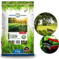 Trawa mieszanka traw Cień trawnik w cieniu mieszanka ozdobna ROENS 25kg