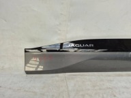 JAGUAR and-PACE 19- moulding door left front front J9D3-21065-A
