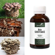 SHIITAKE Dvojitý Esktrakt BIO Lentinula Edodes 100ml