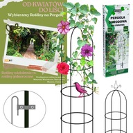 Pergola kolumnowa Obelisk + Ebook Dzwon podpora na róże kwiatów 190 cm