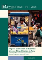 Impact Evaluation of Business License