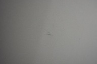 door left rear part rear. Z176 (GAN) OPEL CORSA E 5D 14-20