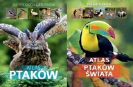 Atlas ptaków świata + Atlas ptaków