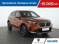 BMW X1 sDrive18i, Salon Polska, 1. Właściciel