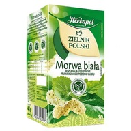 Morwa Biała Herbata Herbapol Zielnik Polski 20 torebek
